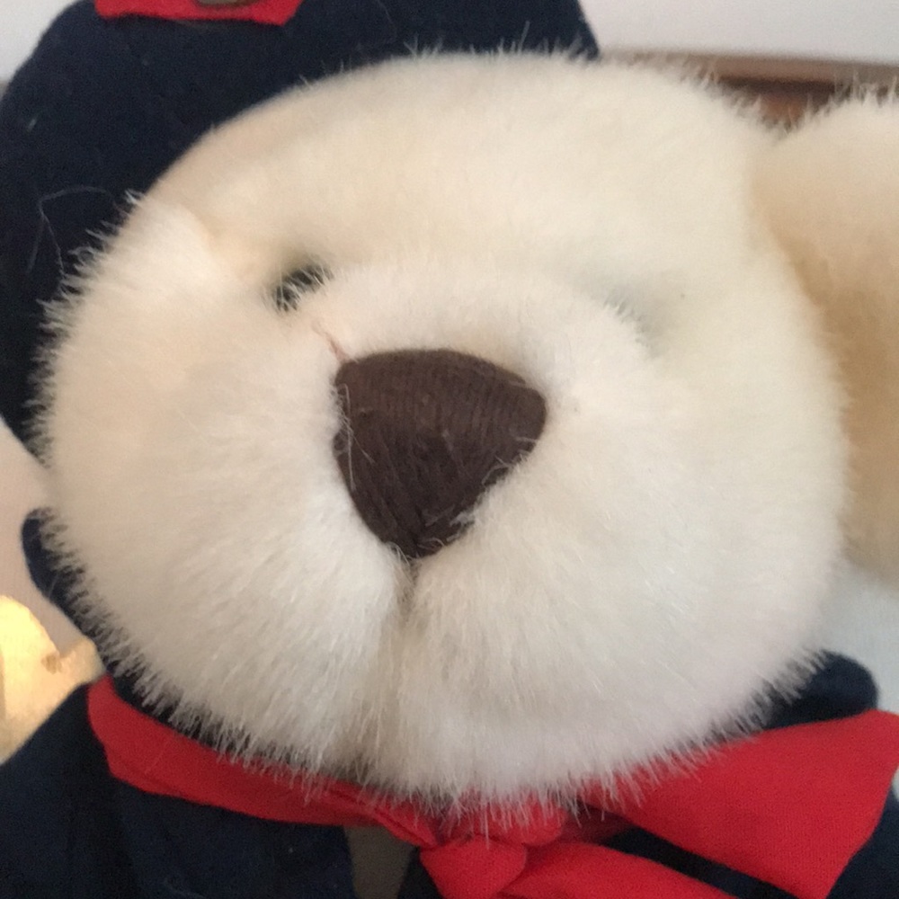 Pickford Brass Button Taylor Bear - Picture 2 of 8